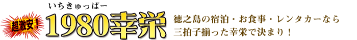 幸栄¥1980